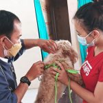 Pelaksanaan vaksinasi rabies dan flu burung di wilayah kelurahan Baros yang disediakan Dispangtan Kota Cimahi, Jumat (17/12).