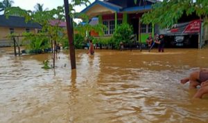 Lokasi yang Akan Jadi Ibu Kota Baru RI Terendam Banjir