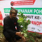 Ketua DPC PDI Perjuangan Kabupaten Bandung, Harjoko Sangganagara saat melakukan penanaman pohon.