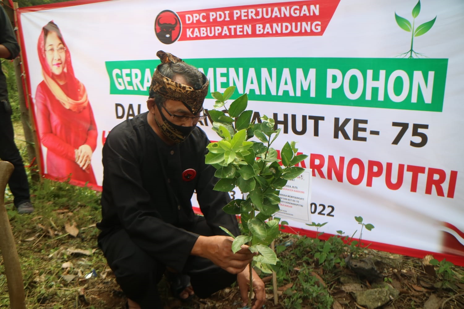 Ketua DPC PDI Perjuangan Kabupaten Bandung, Harjoko Sangganagara saat melakukan penanaman pohon.