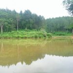 Obyek Wisata Situ Ciengang Kecamatan Kalibunder Kabupaten Sukabumi
