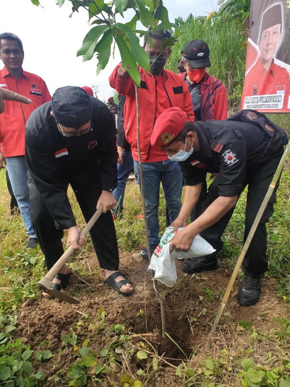 PEDULI LINGKUNGAN: Ketua DPD PDIP Jabar Ono Surono saat melakukan penanaman pohon di Desa Jonggol (Jembatan Cipamingkis) Kecamatan Jonggol, Kabupaten Bogor, Minggu (23/1).