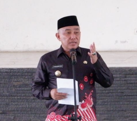 Wali Kota Depok, Mohammad Idris. (Istimewa)