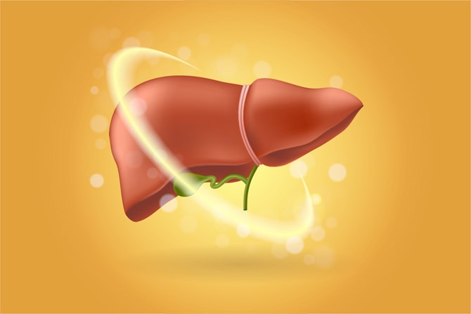 Ilustrasi liver atau hati. (Freepik)
