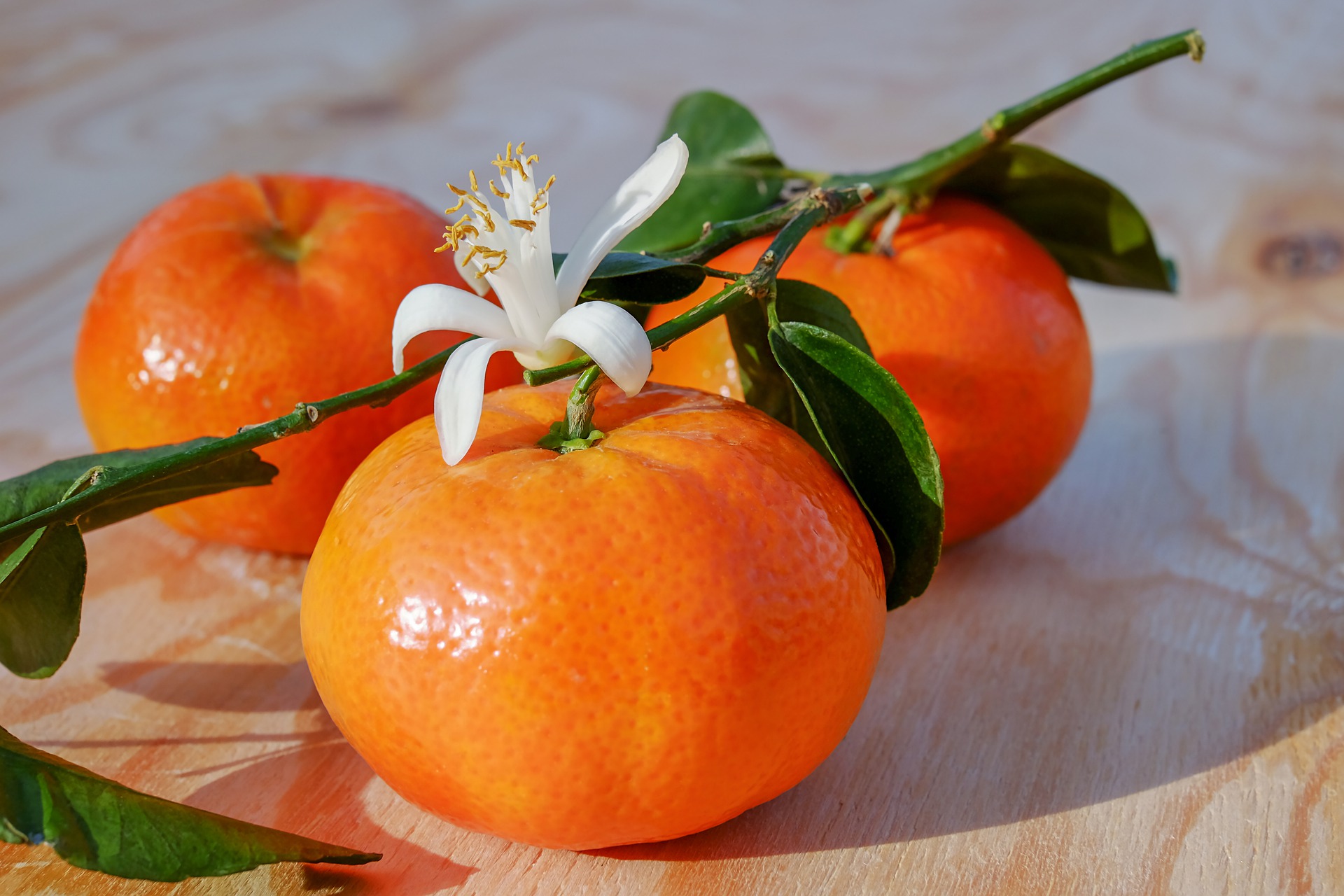 Ilustrasi jeruk mandarin. (Pixabay)
