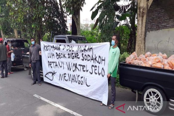 Aksi para petani wortel yang menjual hasil panennya di depan kantor Dinas Ketahanan pangan Boyolali. (foto:antara)