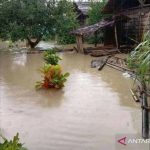 Bajir yang melanda di Maluku menyebabkan ribuan orang terdampak, ratusan lainnya harus mengungsi. (ANTARA/HO-BNPB)