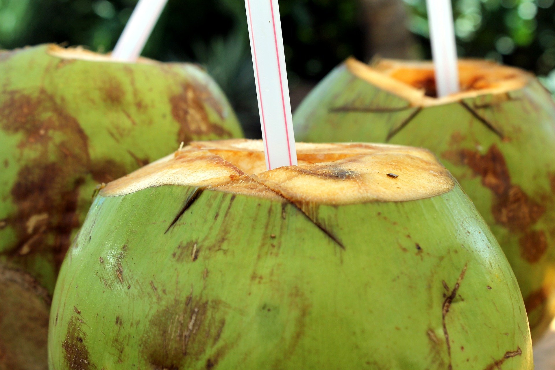 Minum air kelapa memberikan banyak manfaat kesehatan bagi tubuh. (Ilustrasi: Pixabay)