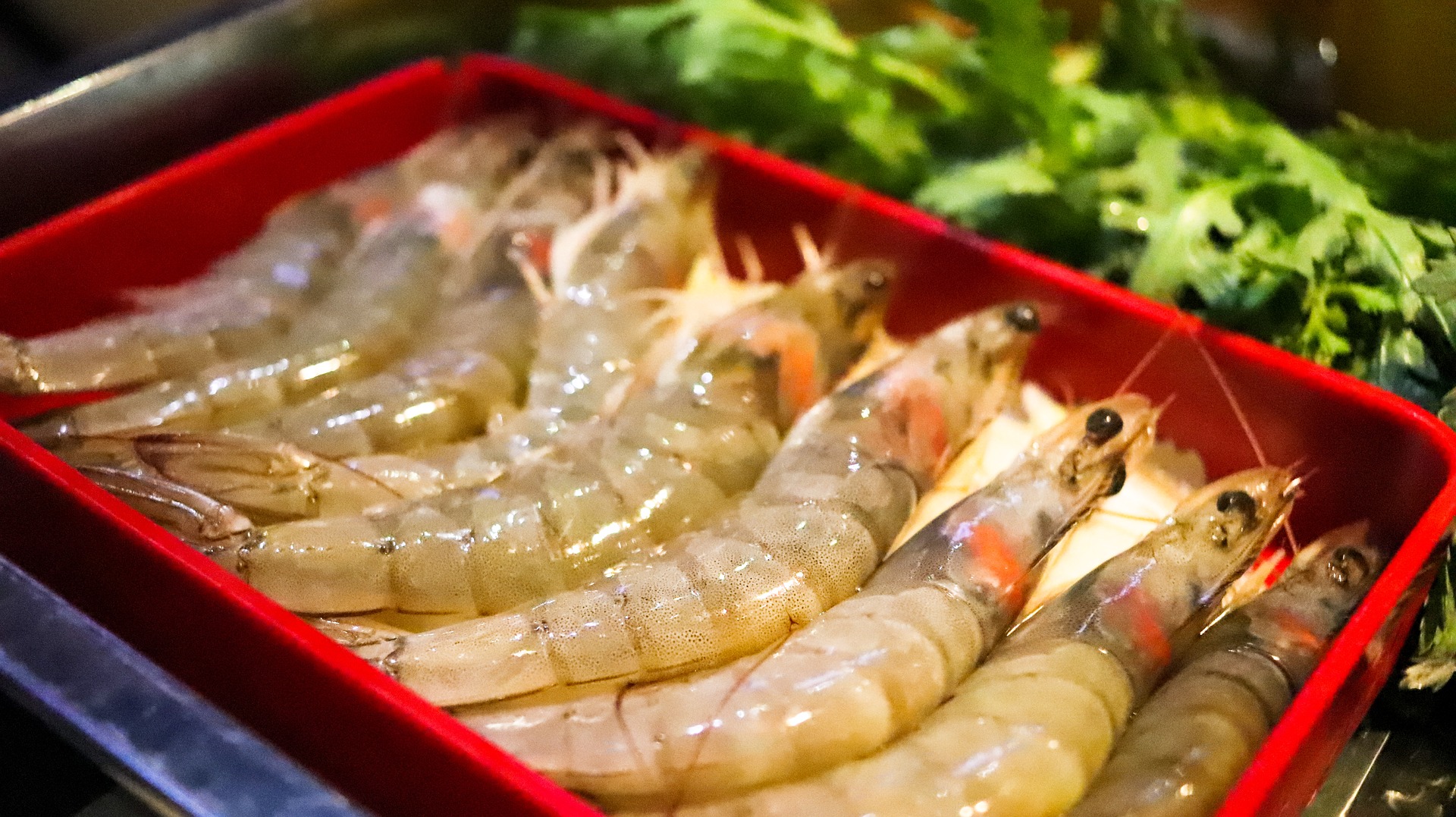 ilustrasi seafood (sumber: pixabay)