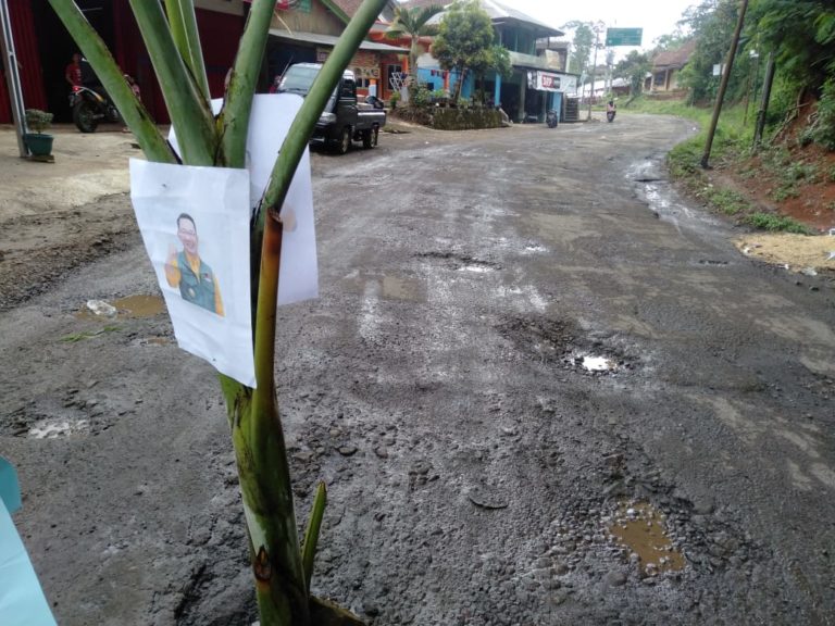 Pohon pisang yang ditanam ditengah jalan yang rusak, tampak ditempel pula foto Gubernur Jabar Ridwan Kamis, sebagai aksi protes warga dan mahasiswa karena jalan tidak kunjung diperbaiki.