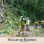 EVAKUASI : Sejumlah petugas melakukan evakuasi secara manual untuk membersihkan material longsoran dan pohon Tumbang. ( ISTIMEWA )