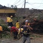 Tiang listrik yang patah akibat pohon tumbang di Desa Rancakalong, Kecamatan Rancakalong, Kabupaten Sumedang. (Jabar Ekspres)