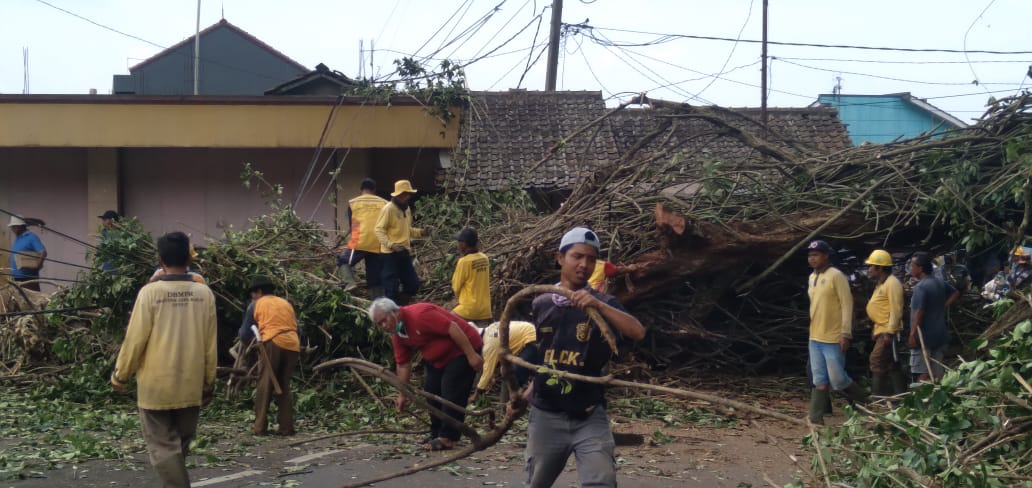 Tiang listrik yang patah akibat pohon tumbang di Desa Rancakalong, Kecamatan Rancakalong, Kabupaten Sumedang. (Jabar Ekspres)