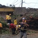 Proses evakuasi pohon tumbang di Jalan Raya Rancakalong-Lebakjati, tepatnya di area Terminal 08 Rancakalong, Desa Rancakalong, Kecamatan Rancakalong, Kabupaten Sumedang. (Jabar Ekspres)