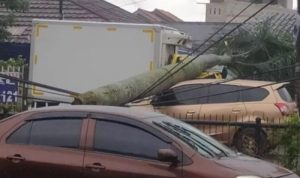 Sejumlah kendaraan yang melintas di kawasan Pamulang Permai, Tangerang Selatan, tertimpa pohon tumbang akibat angin kencang yang melanda wilayah tersebut pada Sabtu, 5 Maret 2022, sekira pukul 12.30 WIB.-Rikhi Ferdian-FIN