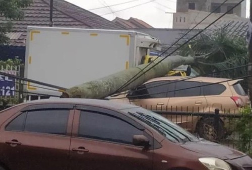 Sejumlah kendaraan yang melintas di kawasan Pamulang Permai, Tangerang Selatan, tertimpa pohon tumbang akibat angin kencang yang melanda wilayah tersebut pada Sabtu, 5 Maret 2022, sekira pukul 12.30 WIB.-Rikhi Ferdian-FIN