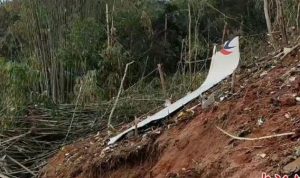 Serpihan pesawat yang diduga merupakan pesawat milik China Eastern Airlines yang terjatuh pada Senin (21/3). (Twitter@ChinaAvReview)