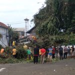 Pohon tumbang tersebut terjadi di Jalan Raya Rancakalong-Lebak Jati, tepatnya di area Terminal 08 Desa Rancakalong, Kecamatan Rancakalong, Kabupaten Sumedang. (Jabar Ekspres)