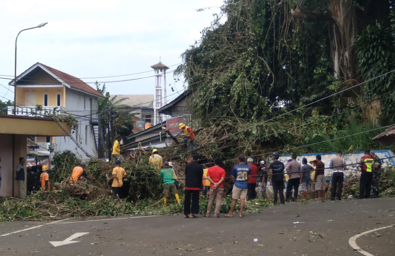 Pohon tumbang tersebut terjadi di Jalan Raya Rancakalong-Lebak Jati, tepatnya di area Terminal 08 Desa Rancakalong, Kecamatan Rancakalong, Kabupaten Sumedang. (Jabar Ekspres)