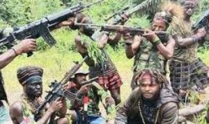 Ilustrasi Kelompok kriminal bersenjata (KKB) Papua.