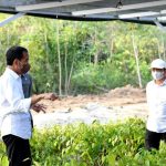 Jokowi Tegaskan Rehabilitasi Mengawali Pembangunan IKN