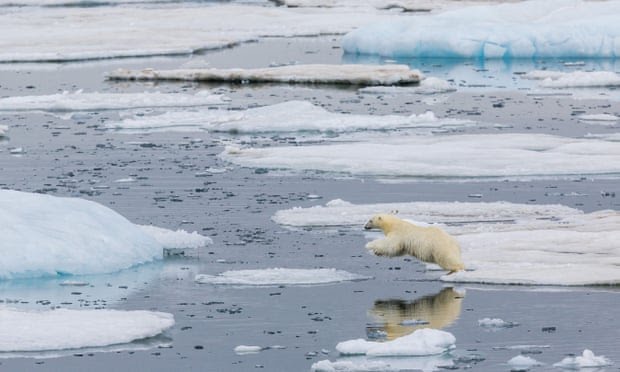 Sampah Plastik Sudah Tiba di Samudera Arktik, Menurut Penelitian.