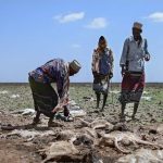 Oxfam International: 28 Juta Orang di Afrika Timur Terancam Kelaparan Ekstrim di Tengah Krisis Ukraina-Rusia