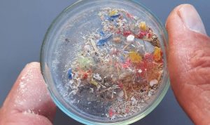 Peringatan Bahaya! Mikroplastik Kali Pertama Ditemukan dalam Paru-paru Manusia