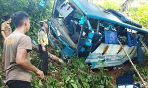 Kondisi bus yang mengalami kerusakan parah setelah terjun masuk kedalam jurang sedalam 50 meter di Bengkunat, Selasa (17/5). (dok polsek bengkunat)