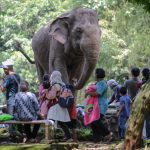 Taman Margasatwa Ragunan dipadati pengunjung pada libur Lebaran 2022. (Hendra Eka/Jawa Pos)