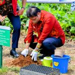Menko Airlangga Hartarto ketika proyek pengembangan peremajaan pohon di kawasan industri di provinsi Riau belum lama ini.