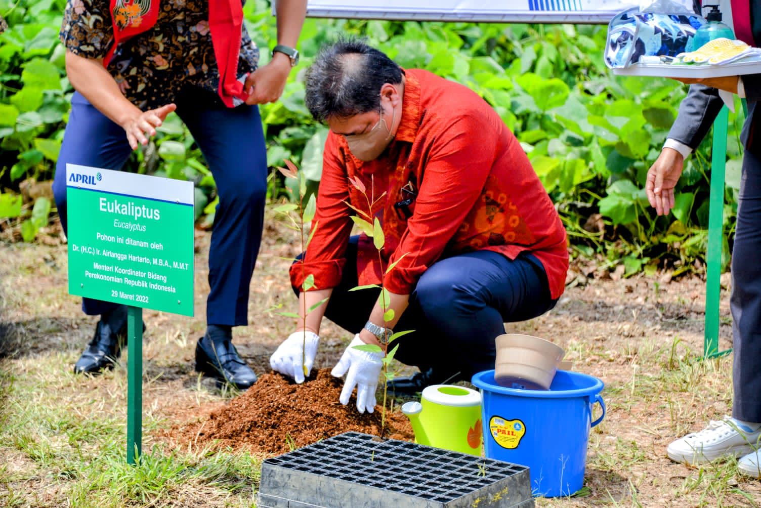 Menko Airlangga Hartarto ketika proyek pengembangan peremajaan pohon di kawasan industri di provinsi Riau belum lama ini.