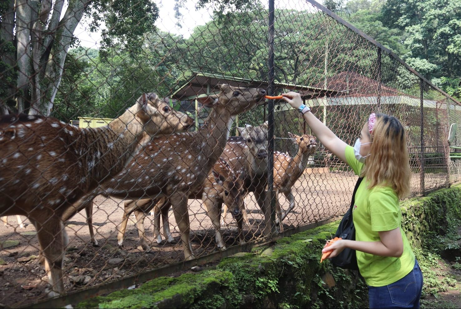 Sebanyak 41.300 Wisatawan Kunjungi Kebun Binatang Bandung Selama Libur Lebaran