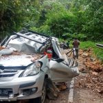 Sebuah Mobil Daihatsu Xenia yang mengalami ringsek usai tertimpa pohon tumbang hingga mengakibatkan satu orang penumpangnya tewas di tempat kejadian. (ist)
