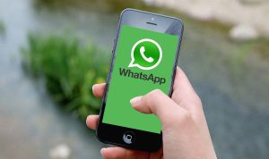 ILUSTRASI: Uji fitur baru, Status WhatsApp nantinya akan bisa tampilkan pratinjau link. (Pixabay)