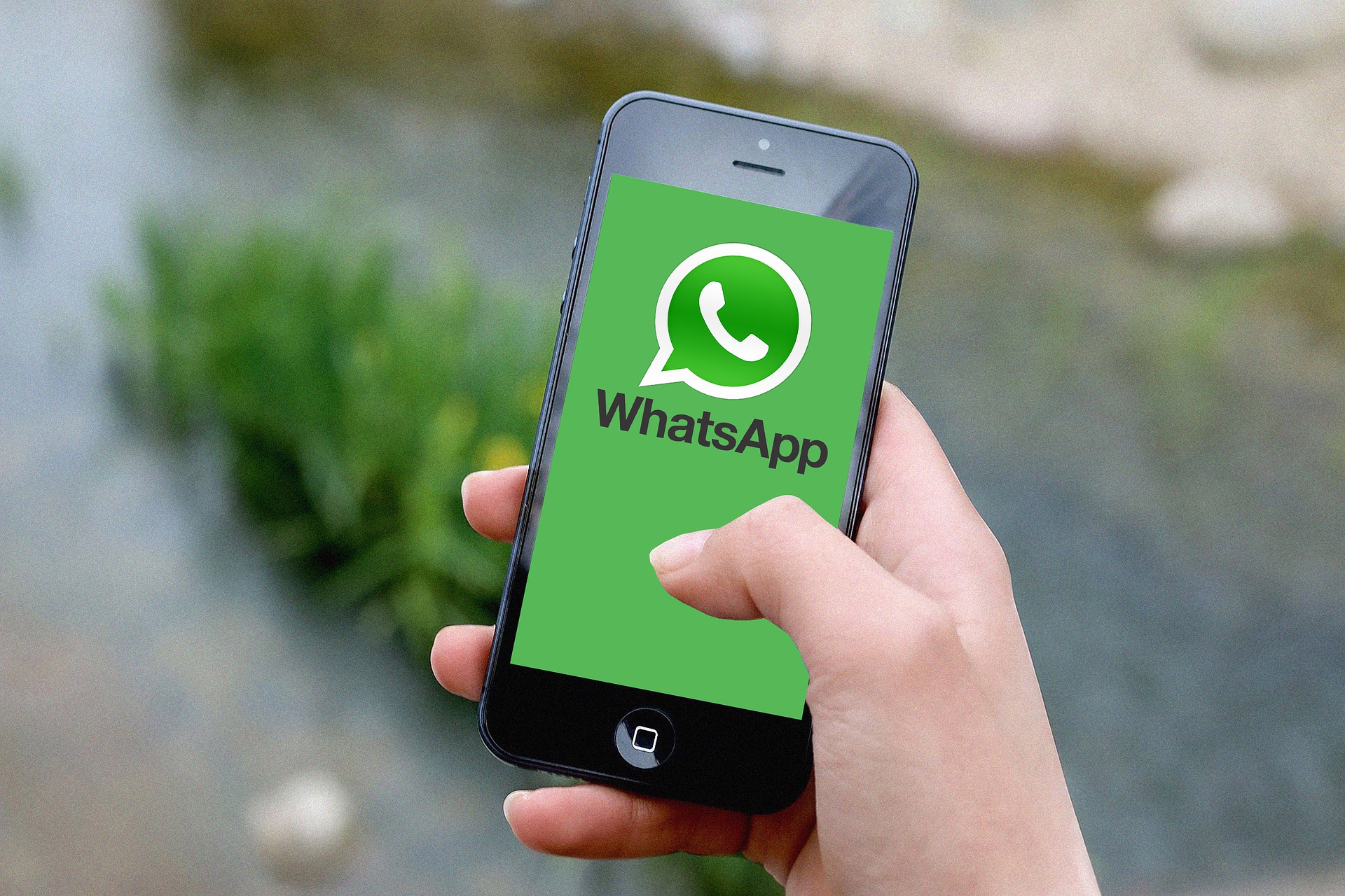 ILUSTRASI: Uji fitur baru, Status WhatsApp nantinya akan bisa tampilkan pratinjau link. (Pixabay)