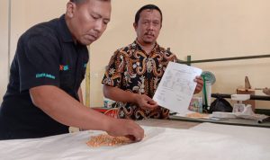 Petugas Bulog melakukan pengecekan kualitas jagung bersubsidi yang akan didistribusikan untuk peternak ayam di Tasikmalaya, Kamis (9/6/2022) sore. (ujang nandar/radartasik.disway.id)--