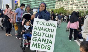 Perkembangan Wacana Kajian Ganja Medis di Indonesia