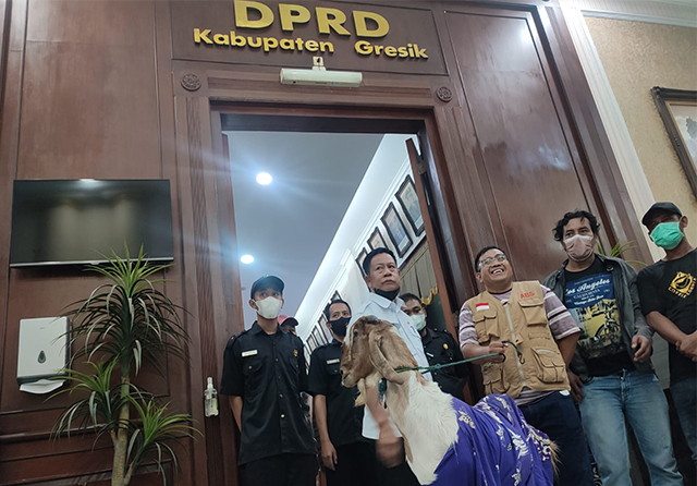 Warga menggelar aksi dengan membawa kambing ke gedung DPRD Gresik. Mereka menuntut agar ritual pernikahan manusia dengan kambing di Benjeng yang melibatkan anggota dewan diiusut tuntas. (Guslan Gumilang/Jawa Pos)