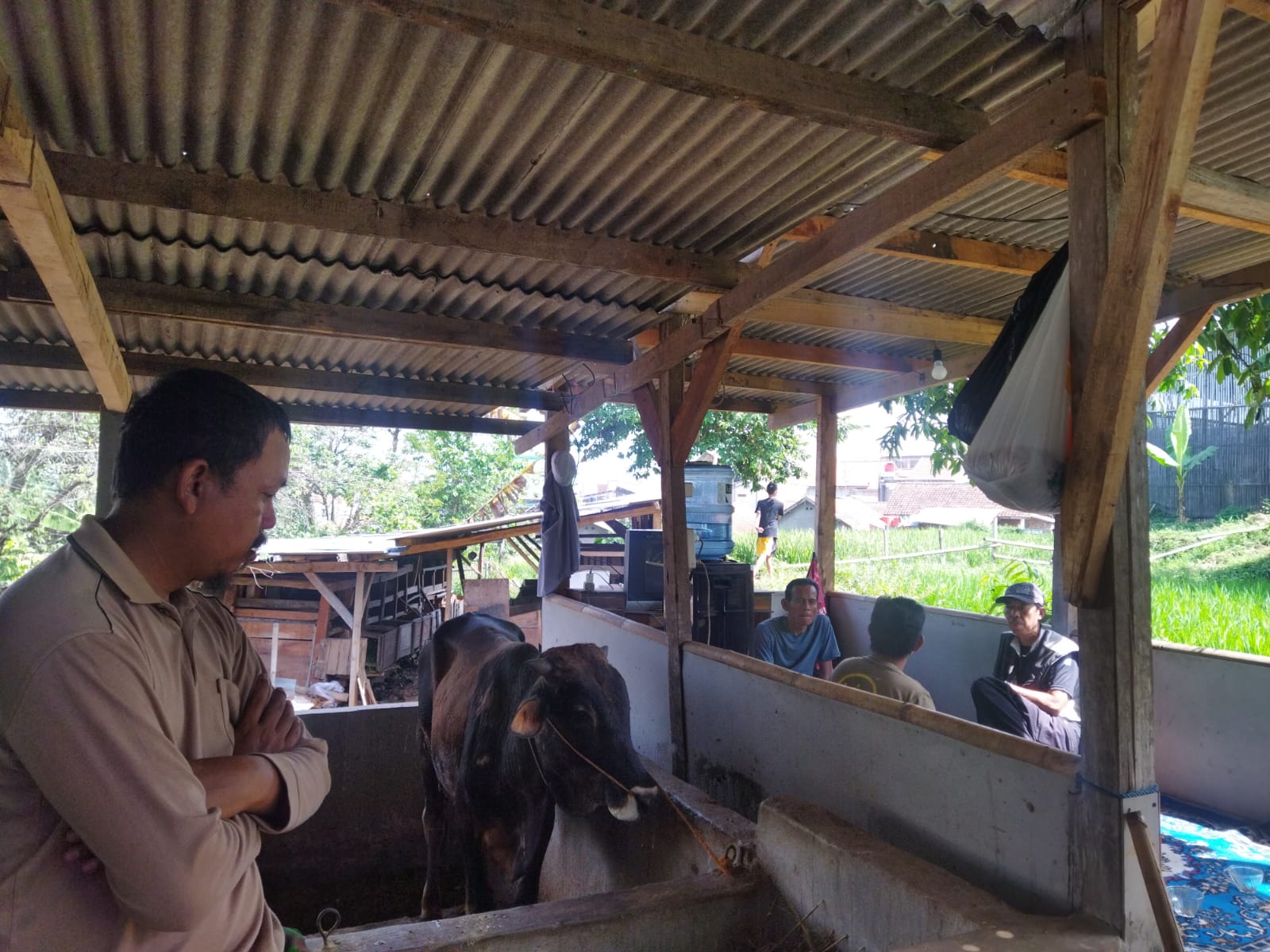 PETERNAK: Kondisi peternakan sapi di Cisurupan, Cibiru, Kota Bandung, Kamis (23/6). (Nizar/Jabar Ekspres)