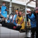 Pelaksanaan sosialisasi penyembelihan hewan kurban oleh DKPP Bandung, Senin (27/6). (Deni Armansyah/Jabar Ekspres)