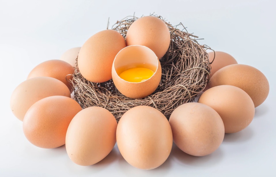Manfaat Kulit Telur untuk Kesehatan, Lengkap dengan Cara Mengolahnya