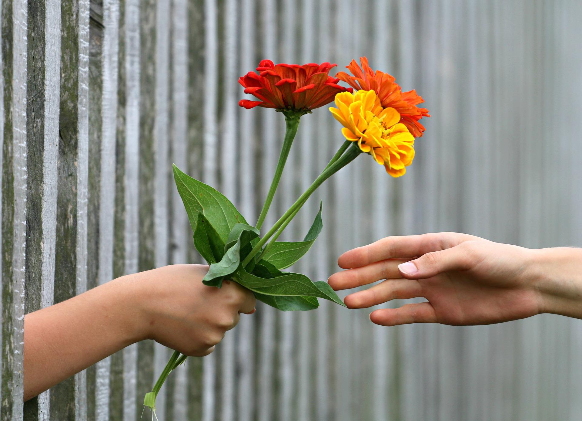 ILUSTRASI: memberi hadiah bunga. (Pixabay)