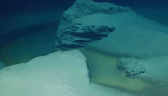 Kolam kematian di Dasar Laut Merah yang tak ada oksigen dengan konsentrasi air garam tinggi, ( Viral-OceanX-YouTube Channel)