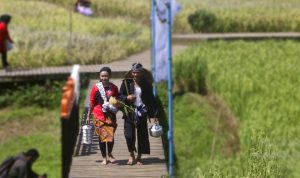 Para Petani Catwalk di Tengah Sawah Mulyaharja Kota Bogor