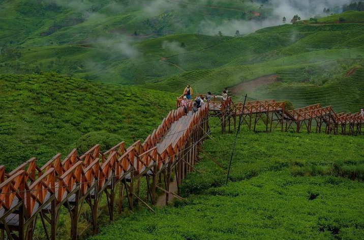 Taman Langit Pangalengan menjadi salah satu tempat wisata baru yang sedang viral. (instagram @tamanlangitpangalengan)
