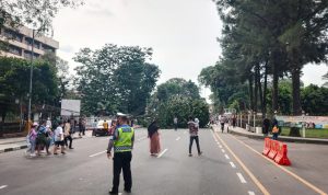 Pohon Dekat Istana Bogor Tumbang, Disperumkim Sebut Tak Ber-KTP