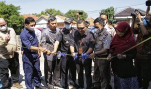 DKP Ekspor 1 Container Ikan Lele Hasil Petani Milenial ke Korsel