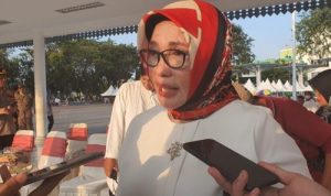 Dinkes Serukan Pemberantasan Sarang Nyamuk di Bekasi usai Kasus DBD Hampir Menembus Dua Ribu Kasus