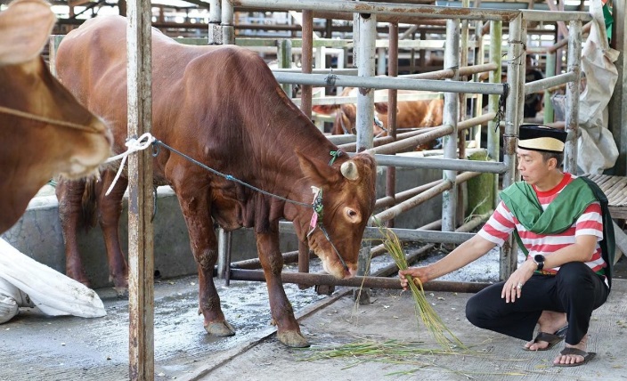 Tips Memilih Hewan Kurban yang Aman untuk Hari Raya Idul Adha, Simak Ya!